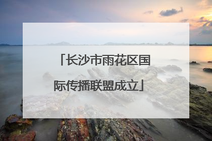 长沙市雨花区国际传播联盟成立
