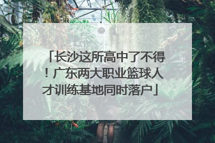 长沙这所高中了不得！广东两大职业篮球人才训练基地同时落户