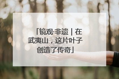 镜观·非遗｜在武夷山，这片叶子创造了传奇