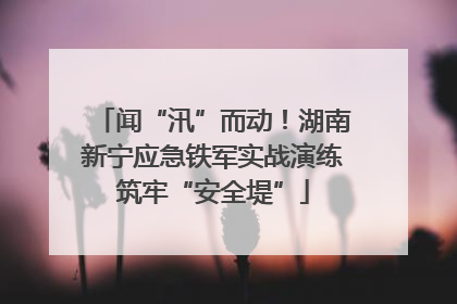 闻“汛”而动！湖南新宁应急铁军实战演练筑牢“安全堤”