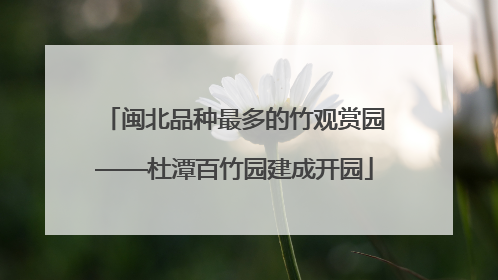 闽北品种最多的竹观赏园——杜潭百竹园建成开园