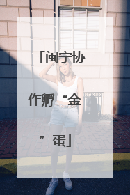 闽宁协作孵“金”蛋