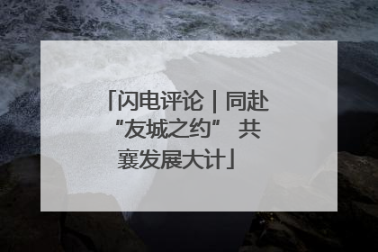 闪电评论｜同赴“友城之约” 共襄发展大计