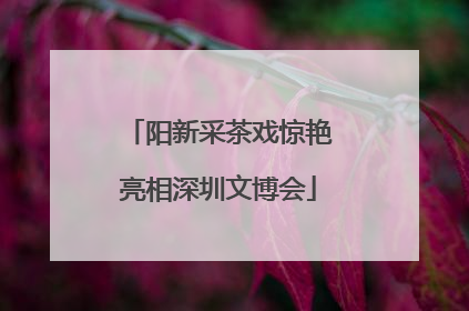 阳新采茶戏惊艳亮相深圳文博会