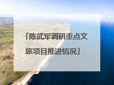 陈武军调研重点文旅项目推进情况