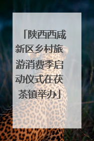 陕西西咸新区乡村旅游消费季启动仪式在茯茶镇举办