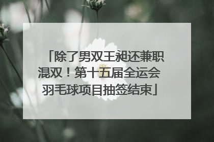除了男双王昶还兼职混双！第十五届全运会羽毛球项目抽签结束