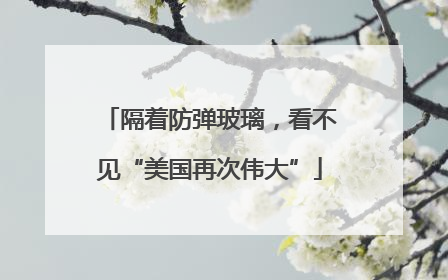 隔着防弹玻璃，看不见“美国再次伟大”