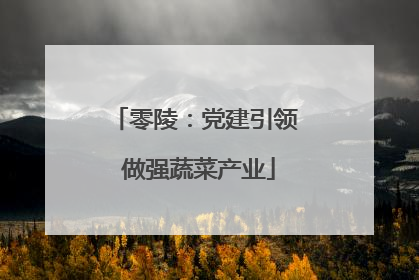 零陵：党建引领 做强蔬菜产业