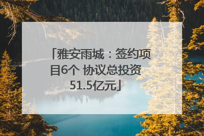 雅安雨城：签约项目6个 协议总投资51.5亿元