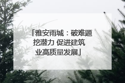 雅安雨城：破难题 挖潜力 促进建筑业高质量发展