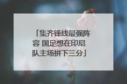 集齐锋线最强阵容 国足想在印尼队主场拼下三分