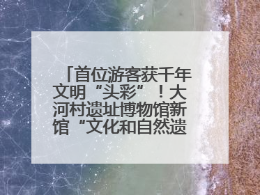 首位游客获千年文明“头彩”！大河村遗址博物馆新馆“文化和自然遗产日”璀璨启幕