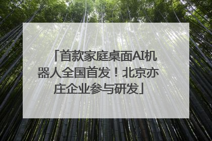 首款家庭桌面AI机器人全国首发！北京亦庄企业参与研发