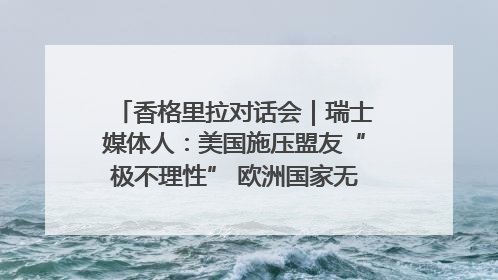 香格里拉对话会｜瑞士媒体人：美国施压盟友“极不理性” 欧洲国家无意与中国“脱钩断链”