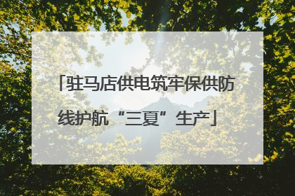 驻马店供电筑牢保供防线护航“三夏”生产