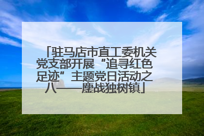 驻马店市直工委机关党支部开展“追寻红色足迹”主题党日活动之八——鏖战独树镇