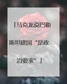 马克龙说巴勒斯坦建国“是政治要求”
