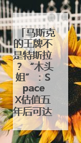 马斯克的王牌不是特斯拉？“木头姐”：SpaceX估值五年后可达2.5万亿美元！
