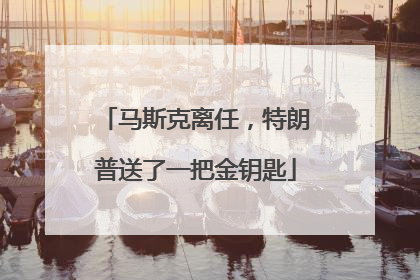 马斯克离任，特朗普送了一把金钥匙