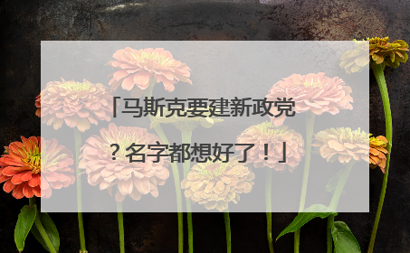 马斯克要建新政党？名字都想好了！