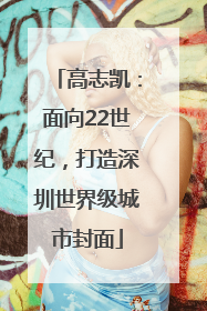 高志凯：面向22世纪，打造深圳世界级城市封面