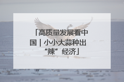 高质量发展看中国｜小小大蒜种出“辣”经济