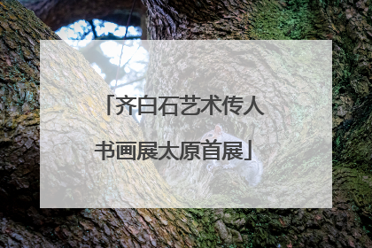 齐白石艺术传人书画展太原首展