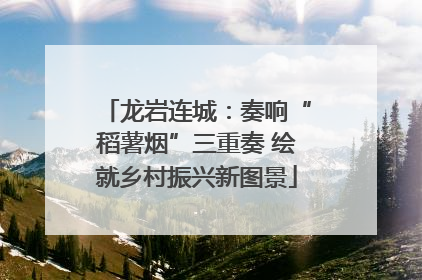 龙岩连城：奏响“稻薯烟”三重奏 绘就乡村振兴新图景