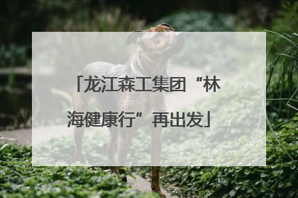 龙江森工集团“林海健康行”再出发