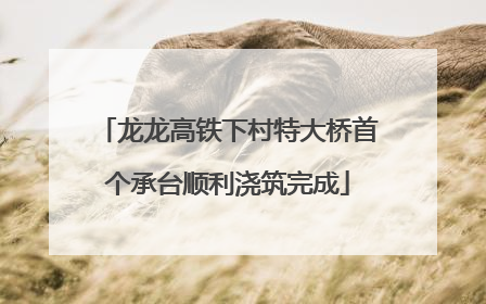 龙龙高铁下村特大桥首个承台顺利浇筑完成