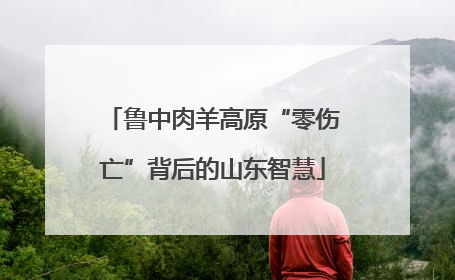 鲁中肉羊高原“零伤亡”背后的山东智慧