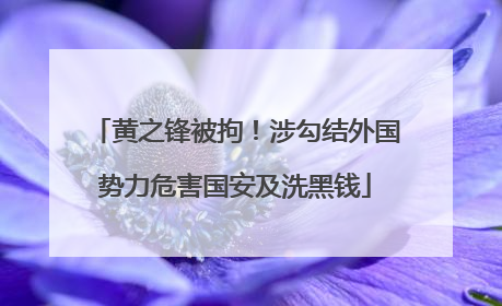 黄之锋被拘！涉勾结外国势力危害国安及洗黑钱