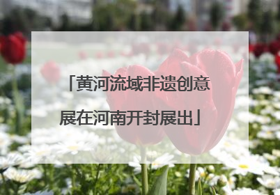 黄河流域非遗创意展在河南开封展出