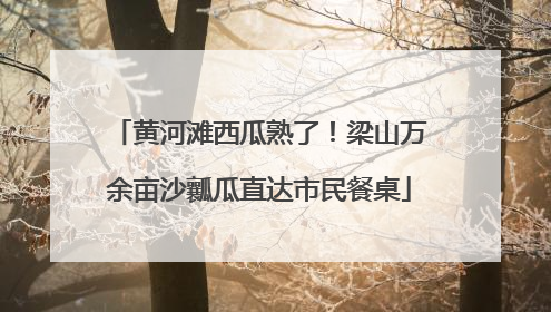 黄河滩西瓜熟了！梁山万余亩沙瓤瓜直达市民餐桌