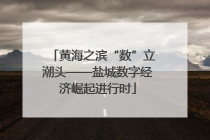 黄海之滨“数”立潮头——盐城数字经济崛起进行时