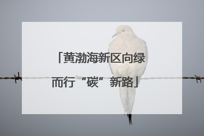 黄渤海新区向绿而行“碳”新路
