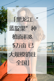 黑龙江“蓝靛果”种植面积8.5万亩 已大规模销往全国