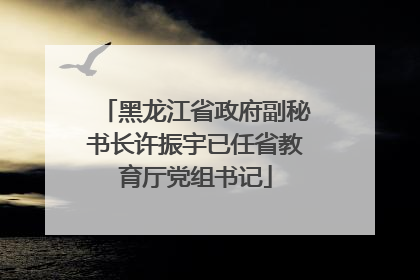 黑龙江省政府副秘书长许振宇已任省教育厅党组书记