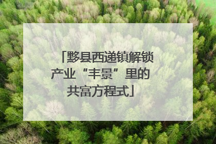 黟县西递镇解锁产业“丰景”里的共富方程式