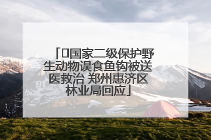 ﻿国家二级保护野生动物误食鱼钩被送医救治 郑州惠济区林业局回应