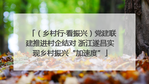 （乡村行·看振兴）党建联建推进村企结对 浙江遂昌实现乡村振兴“加速度”