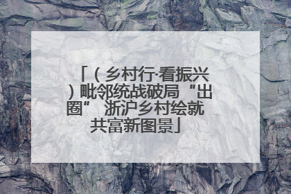 （乡村行·看振兴）毗邻统战破局“出圈” 浙沪乡村绘就共富新图景
