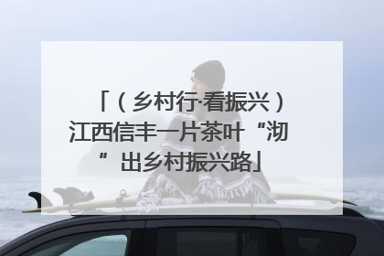 （乡村行·看振兴）江西信丰一片茶叶“沏”出乡村振兴路