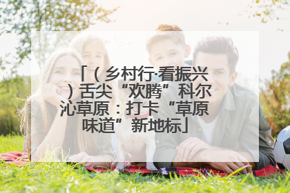 （乡村行·看振兴）舌尖“欢腾”科尔沁草原：打卡“草原味道”新地标