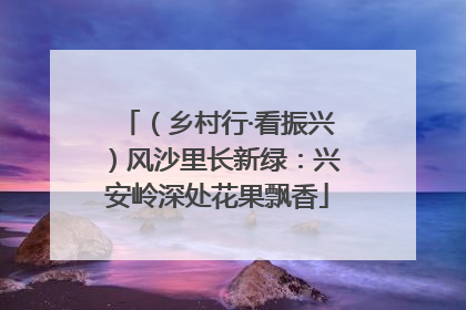 （乡村行·看振兴）风沙里长新绿：兴安岭深处花果飘香