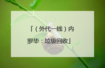 （外代一线）内罗毕：垃圾回收