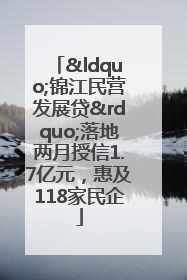 “锦江民营发展贷”落地两月授信1.7亿元，惠及118家民企