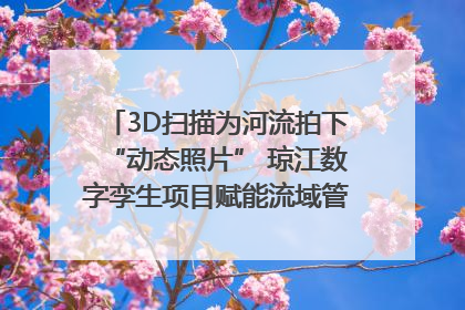 3D扫描为河流拍下“动态照片” 琼江数字孪生项目赋能流域管理｜新闻发布最前线