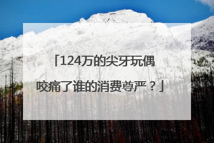 124万的尖牙玩偶 咬痛了谁的消费尊严？